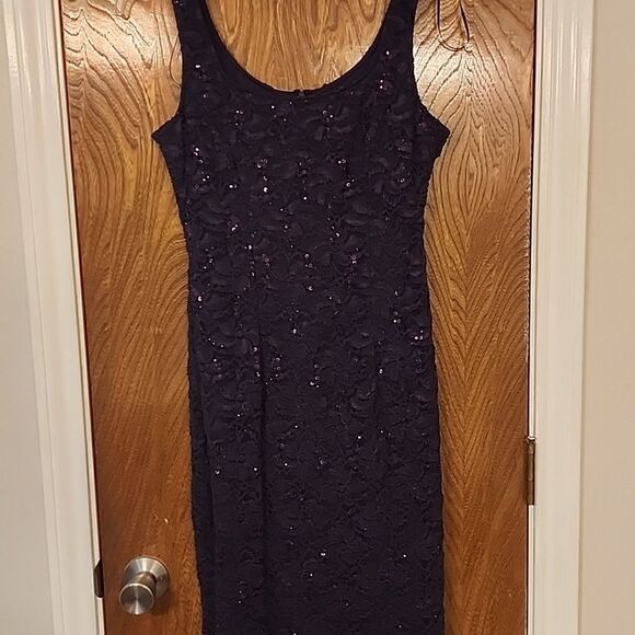 Alex Evenings Shearh Lace Dress with Sewuin Detail - Picture 3 of 6